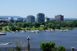 low_DSC25490