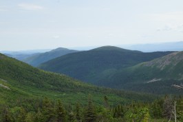 low_DSC30272