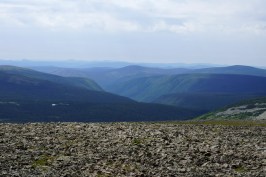 low_DSC30329