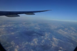 low_DSC06965