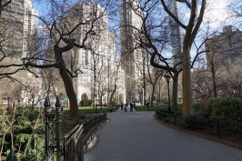 low_DSC07664