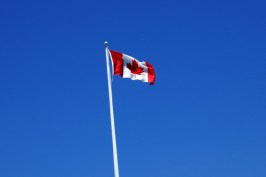 low_DSC25382