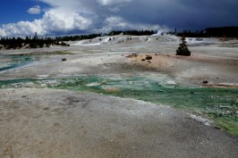 low_DSC20624