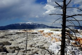 low_DSC20825