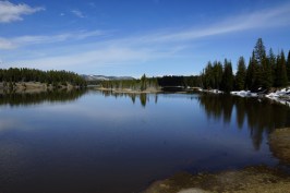 low_DSC21395