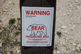 low_DSC20481