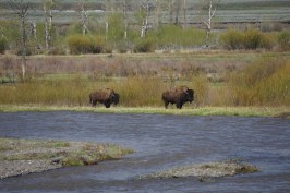 low_DSC21126