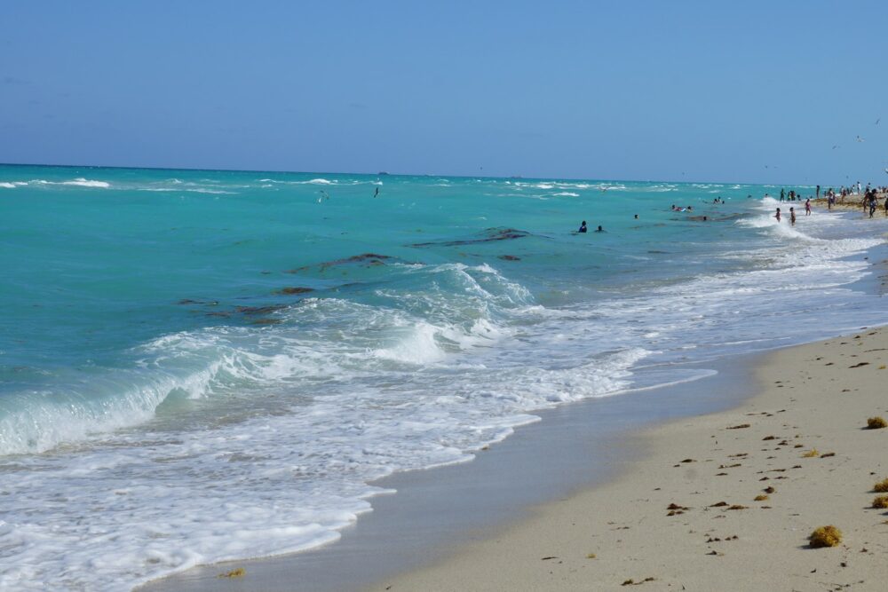 low_DSC10427