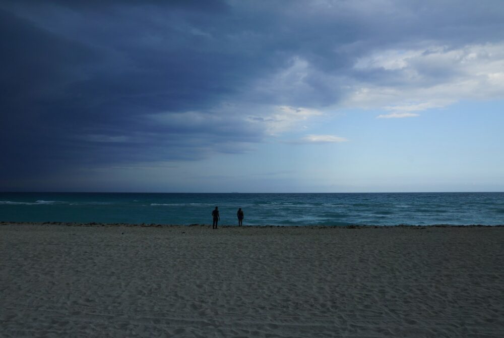 low_DSC10930