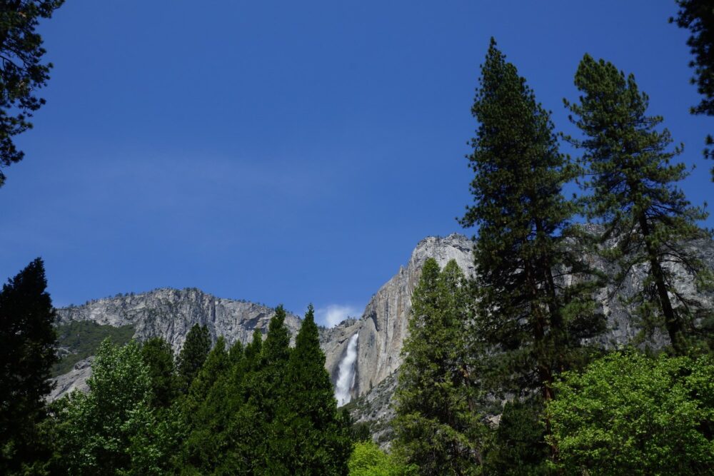 La Yosemite Fall depuis le parking