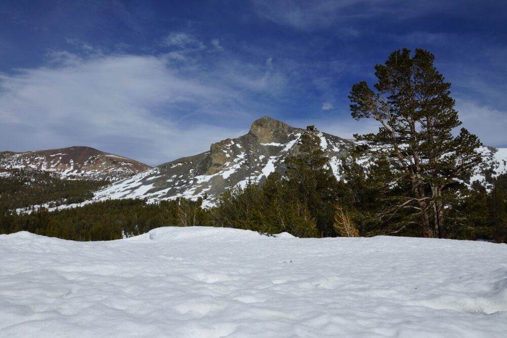 Les montagnes enneigées au sommet de Yosemite