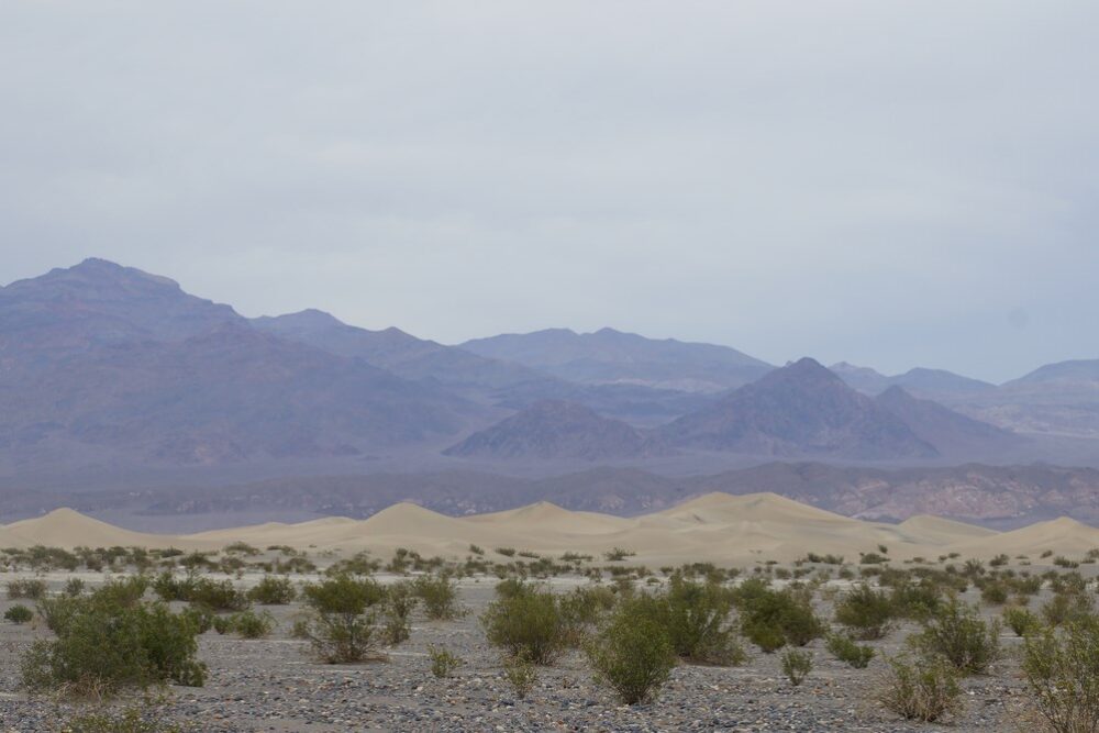 Les dunes de Mesquites, plusieurs scènes de Star Wars ont été tournées ici !