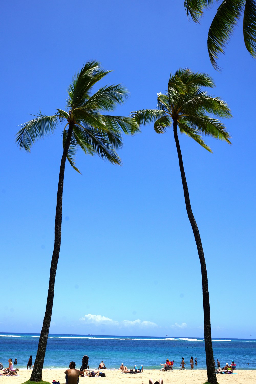 Waikiki Beach