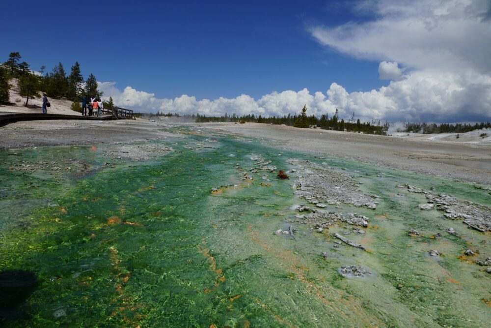 Encore une fois, la couleur est due aux milliards de bactéries présentes dans l'eau