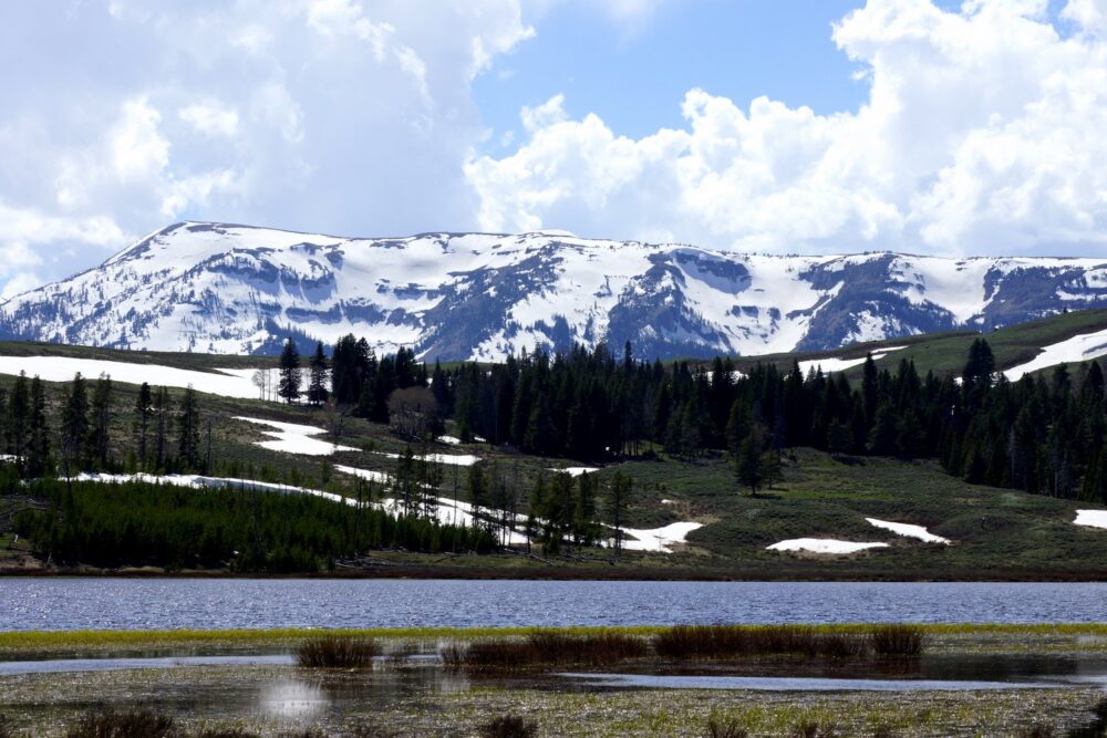 Un panorama typique de Yellowstone : arbres, eau, montagnes et prairies