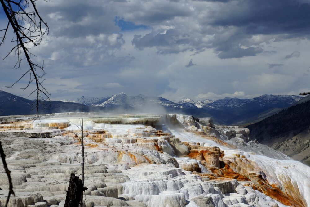 Les terrasses de Mammoth Hot Spring