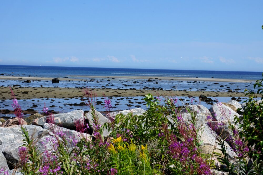 A marée basse, le paysage change complètement