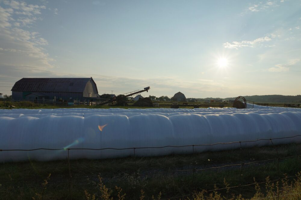 Le camping était juste à côté d'une ferme