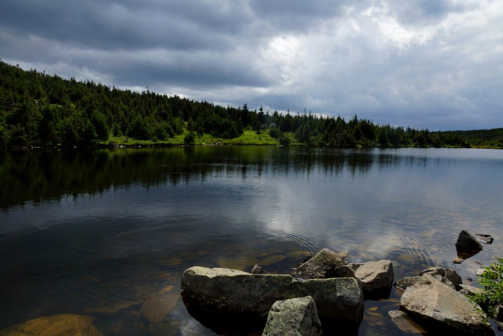 Le lac à truites...